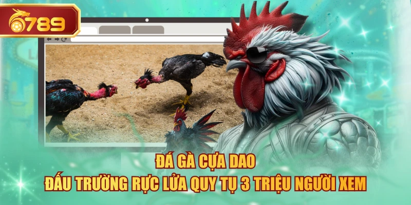 Đá Gà Cựa Dao - Đấu Trường Rực Lửa Quy Tụ 3 Triệu Người Xem